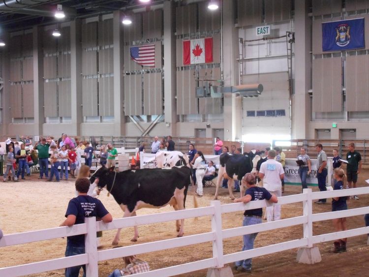 DairyJudging2016