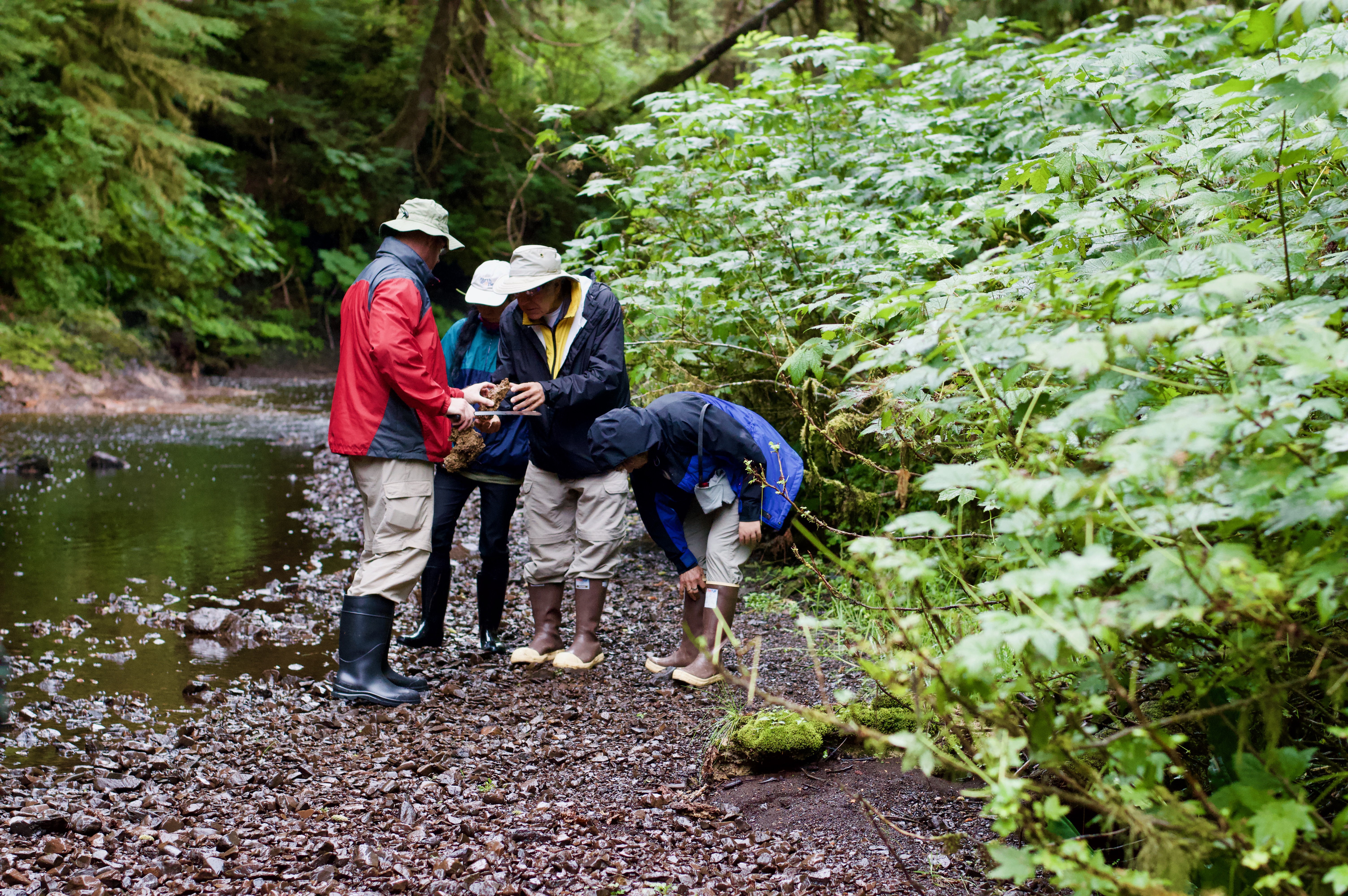 River-bed-ecosystem-exploring-Alaska