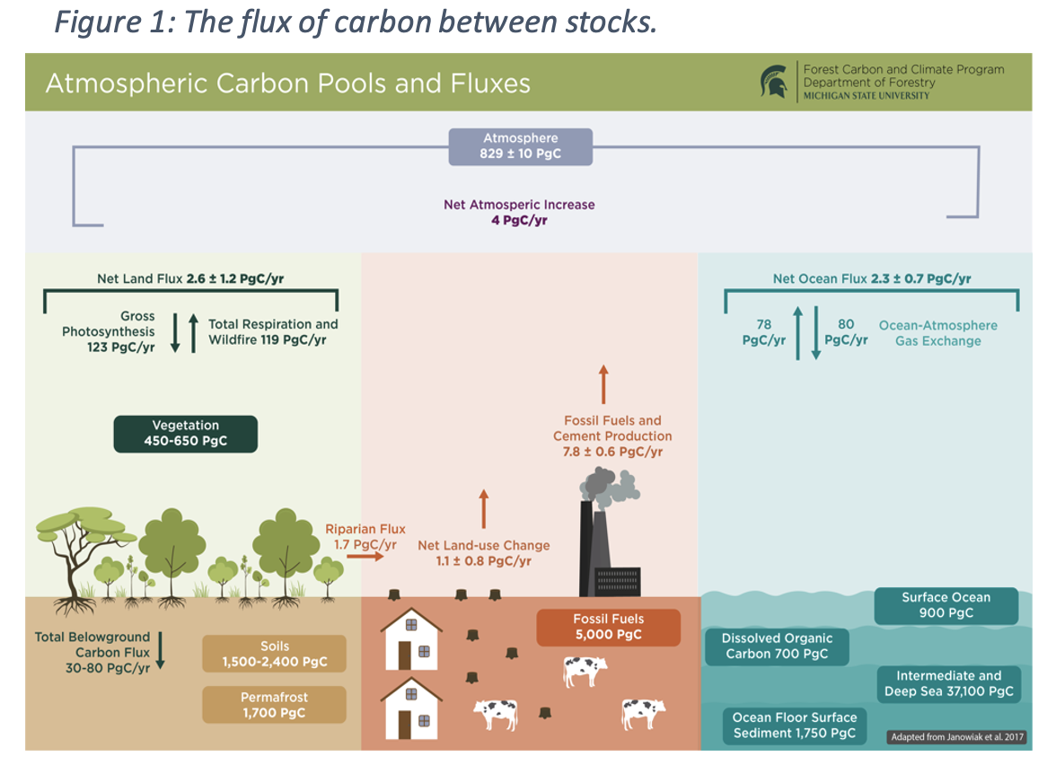 carbonfluxesandstocks-figure1