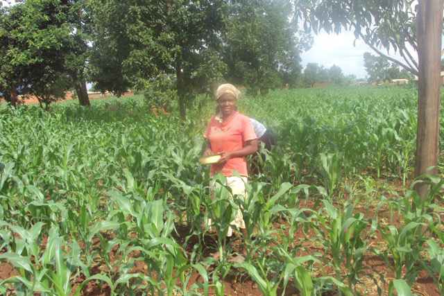 WomanFarmerFertilizingField