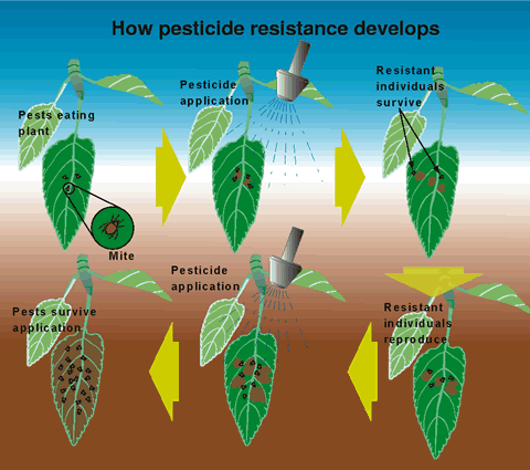 pesticResist