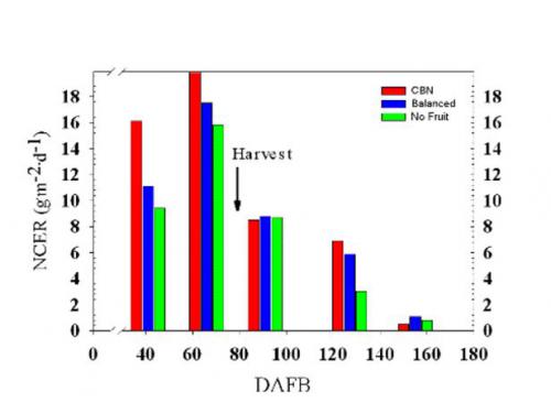 三次裁剪处理NCER41、66、91、127和155DAFB