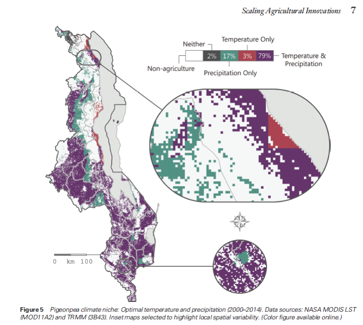 geovisualization木豆的照片