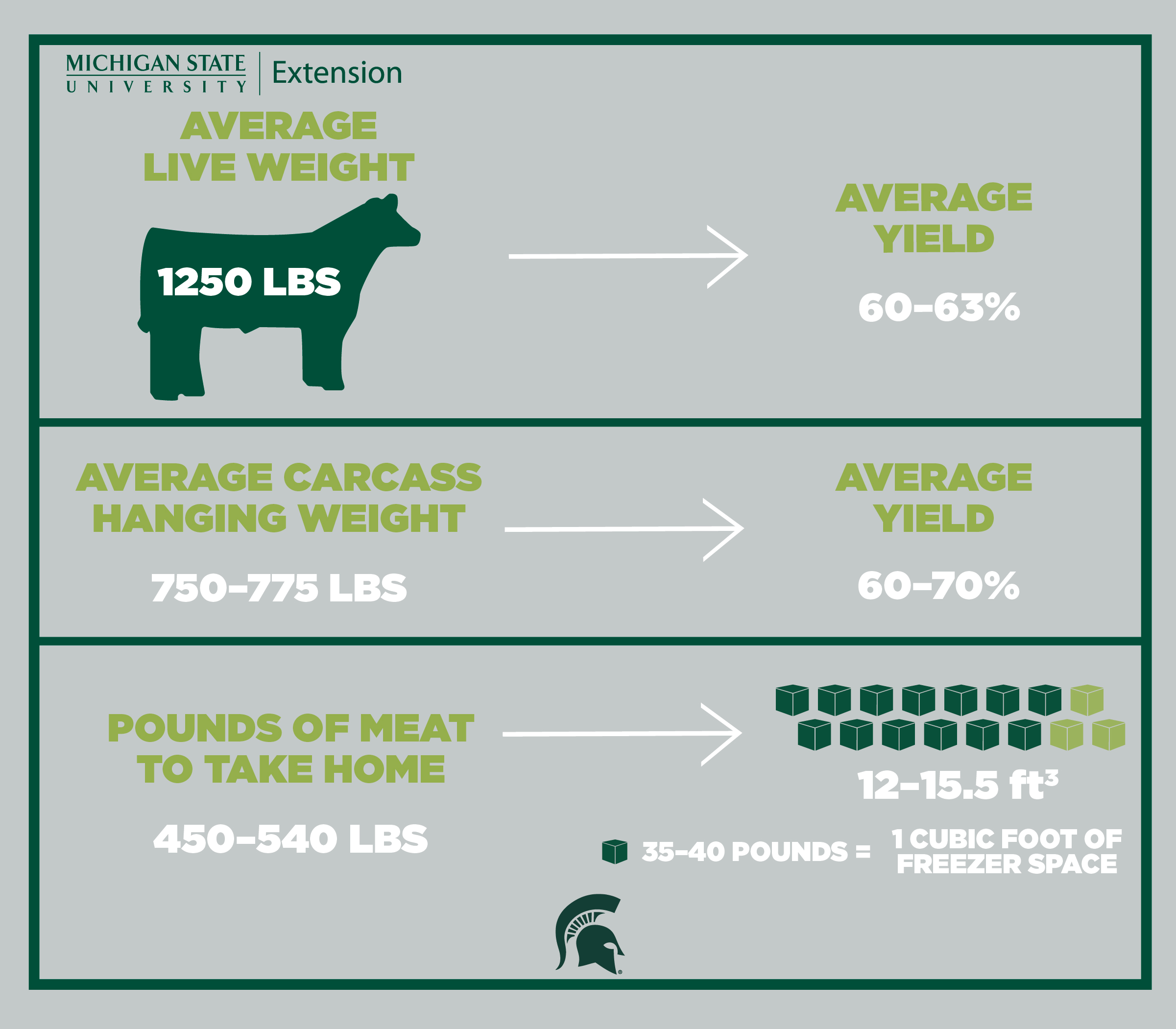 CYI_172_MarketGraphic-BEEF