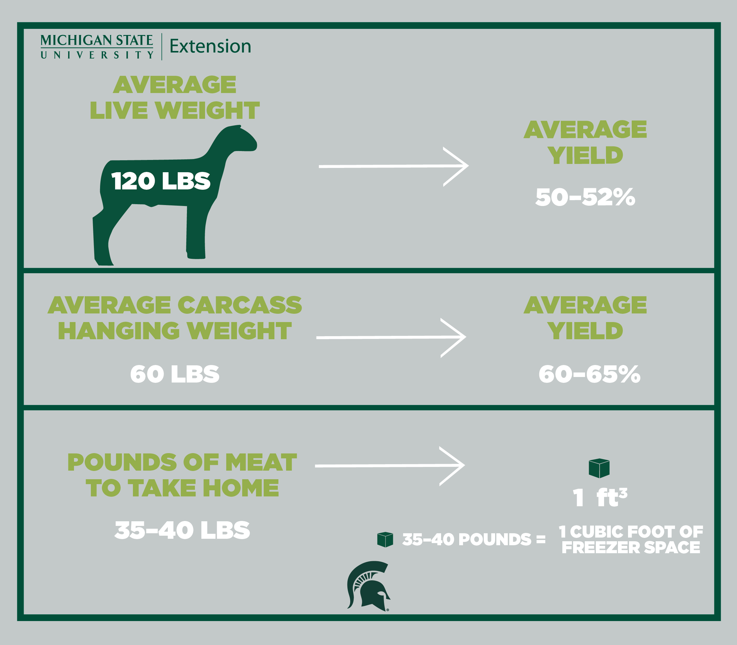 CYI_172_MarketGraphic-LAMB