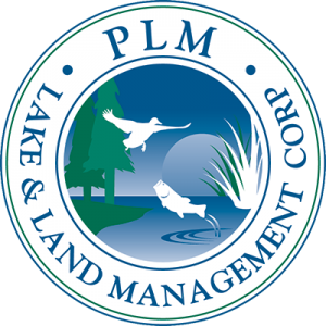 PLM