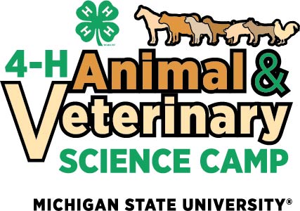 4-H_Animal_ + _vet_science_camp - 2019