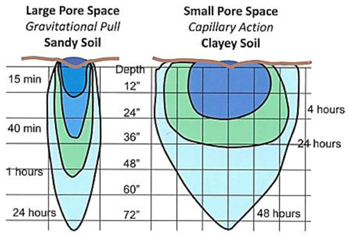 水传播和渗透时间和距离在砂和粘土的土壤